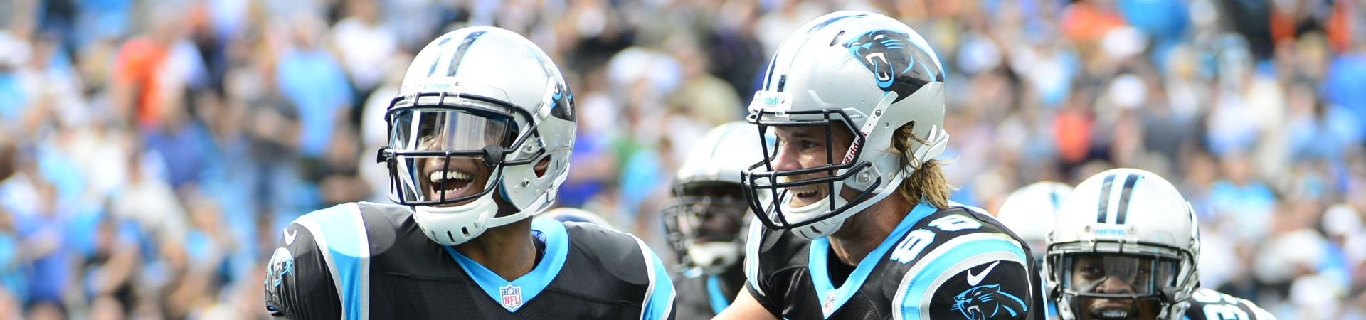 Carolina Panthers - Sportmania.hu