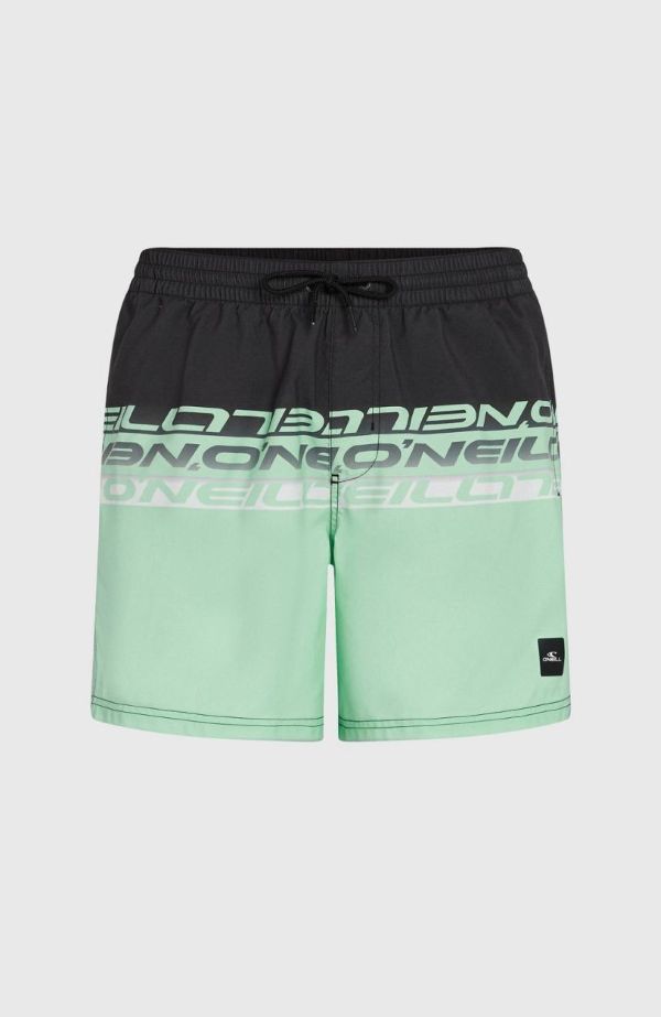 O\'neill Cali Stripe 16\'\' Swimshorts