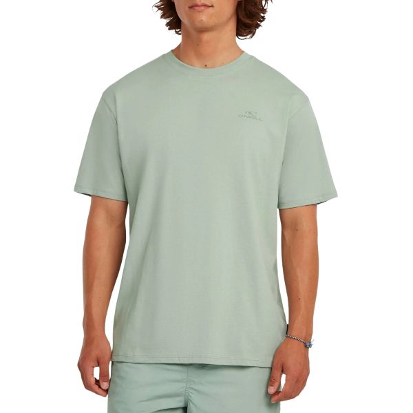 O\'Neill Small Logo T-Shirt