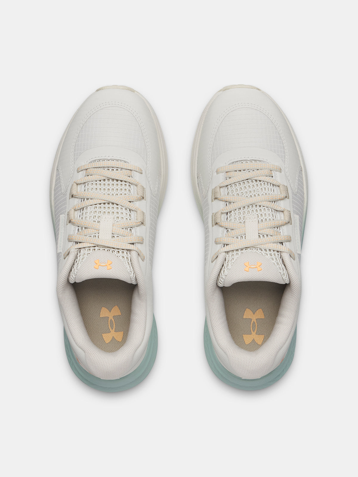 Nõi cipõ Under Armour UA W Charged Bandit TR 3