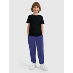 Boy's regular plain T-shirt 4F gyerek póló 4FJRMM00TTSHM3254-20S