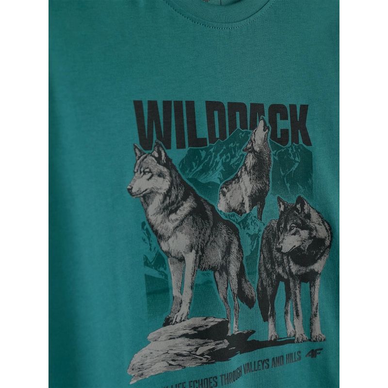 4F Boy's regular printed T-shirt gyerek póló 4FJKAW26TTSHM4455-46S