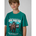 4F Boy's regular printed T-shirt gyerek póló 4FJKAW26TTSHM4456-46S