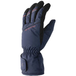 4f Fnk M096 Ski Gloves Síkesztyű 4FAW23AFGLM09631S