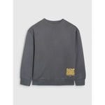 4F JUNIOR sweatshirt gyerek pulóver 4FJRAW25TSWSM2448-22S