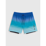 4F Men's boardshorts with UPF50+ sun protection férfi rövidnadrág
