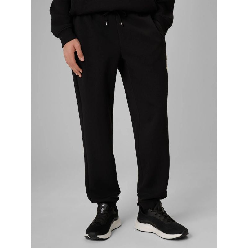 4F Men's jogger sweatpants | Robert Lewandowski férfi nadrág RL9KSS26TTROM1950-20S