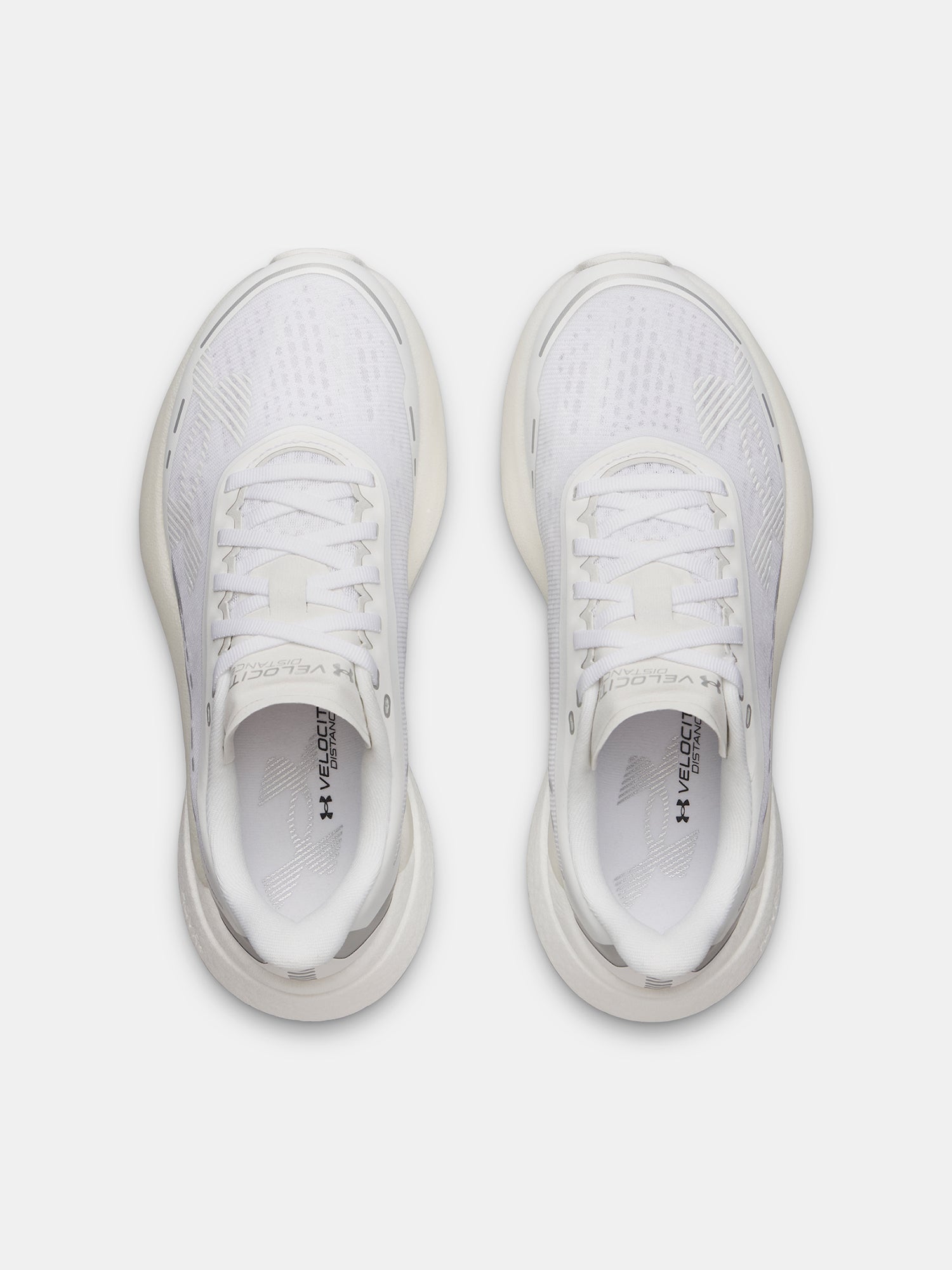Nõi cipõ Under Armour UA W Velociti Distance