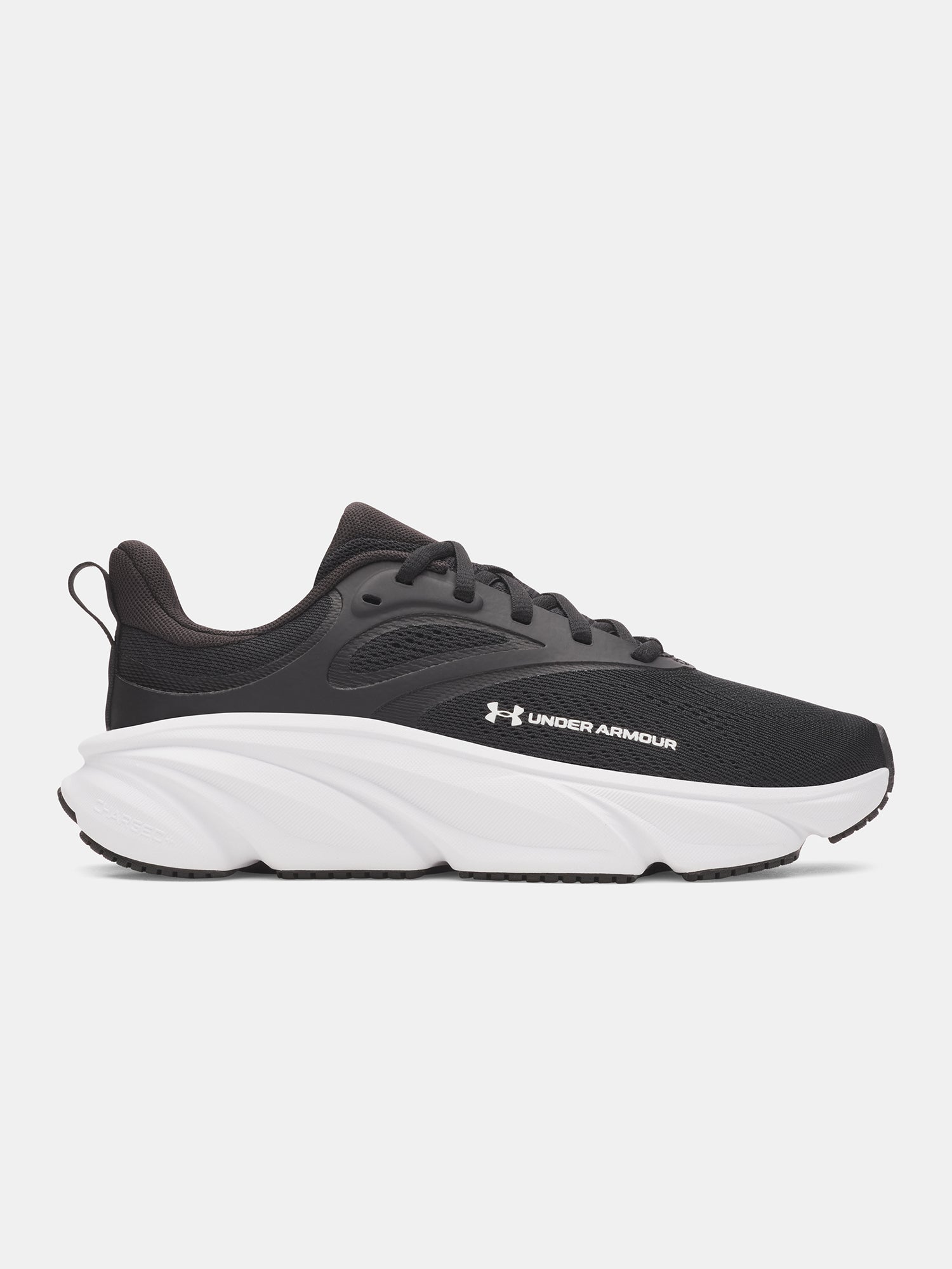 Nõi cipõ Under Armour UA W Rogue 6