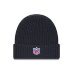 Carolina Panthers NFL Sideline 2025 Charcoal Cuff Knit Beanie Hat - kötött sapka