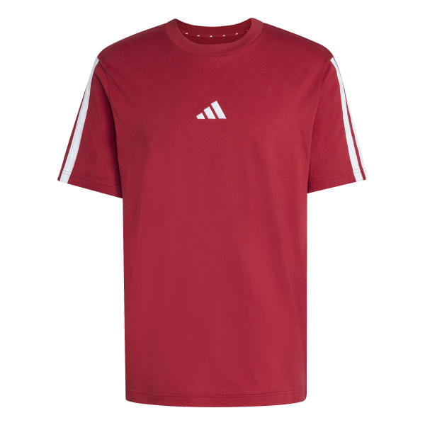 M 3s Sj T B