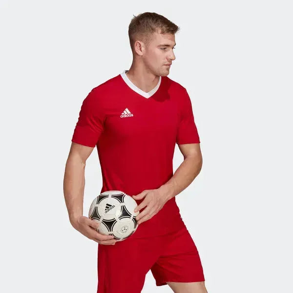 Kép alternatív szöveg