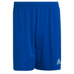 Adidas ENT22 SHO Short férfi H57506
