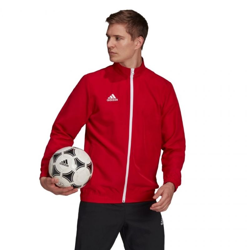 Kép alternatív szöveg