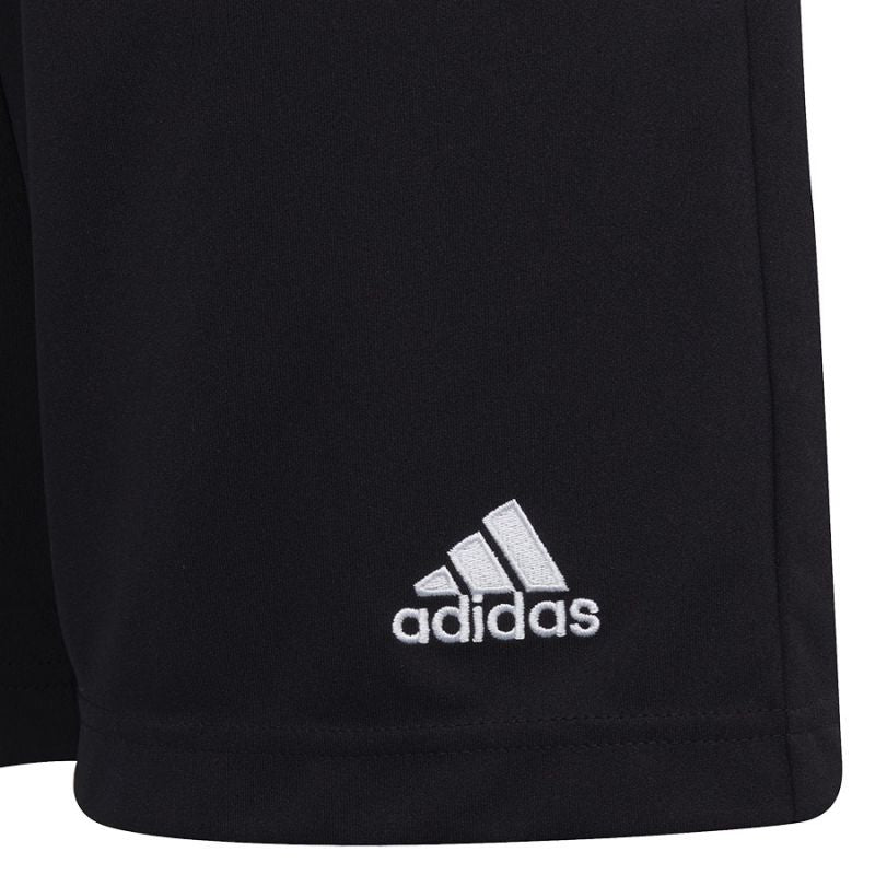 Kép alternatív szöveg
