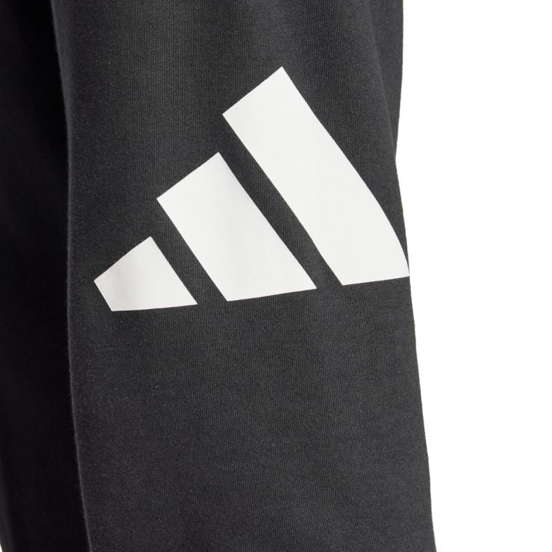 Adidas Essentials Big Logo French Terry M IN6163 pants - Sportmania.hu
