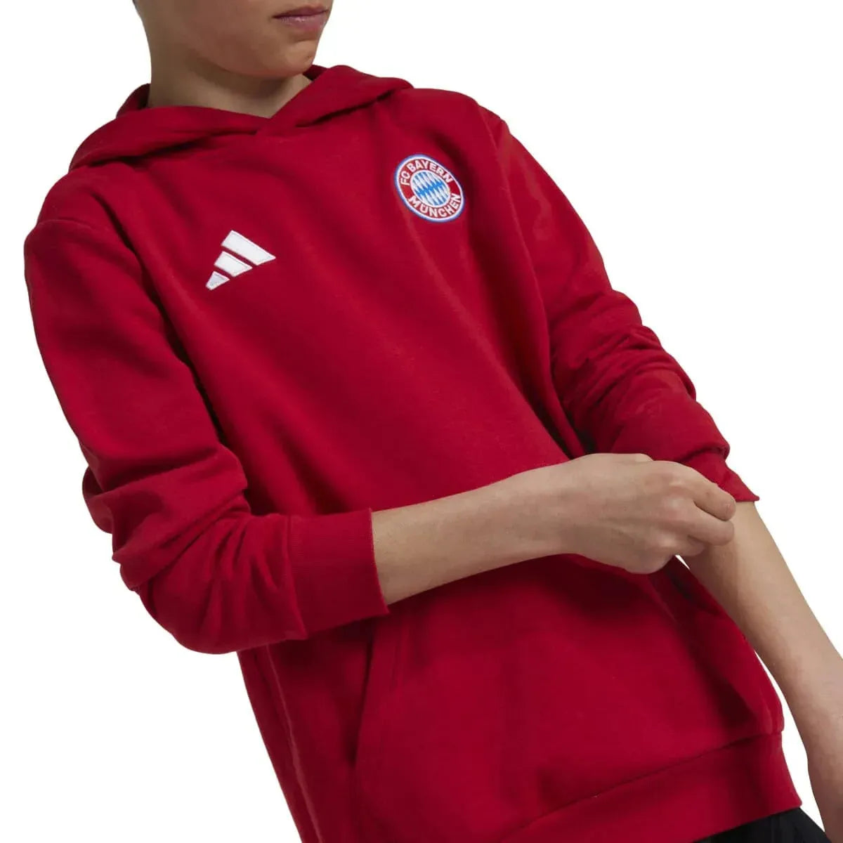 Kép alternatív szöveg