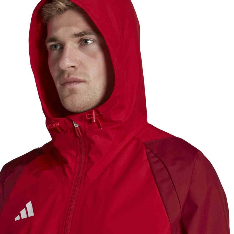 Kép alternatív szöveg