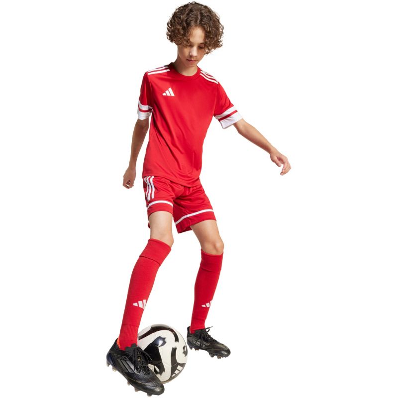 adidas Shorts adidas Squadra 25 Jr JN5456 Short - Sportmania.hu