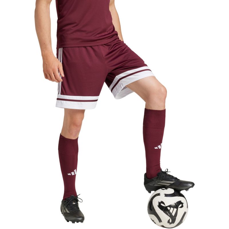 adidas Shorts adidas Squadra 25 M JC8677 Ruházat - Sportmania.hu