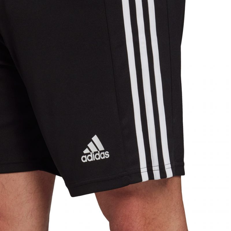 Adidas Squadra 21 Short GN5776 Nadrág