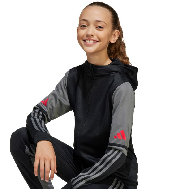 Kép alternatív szöveg