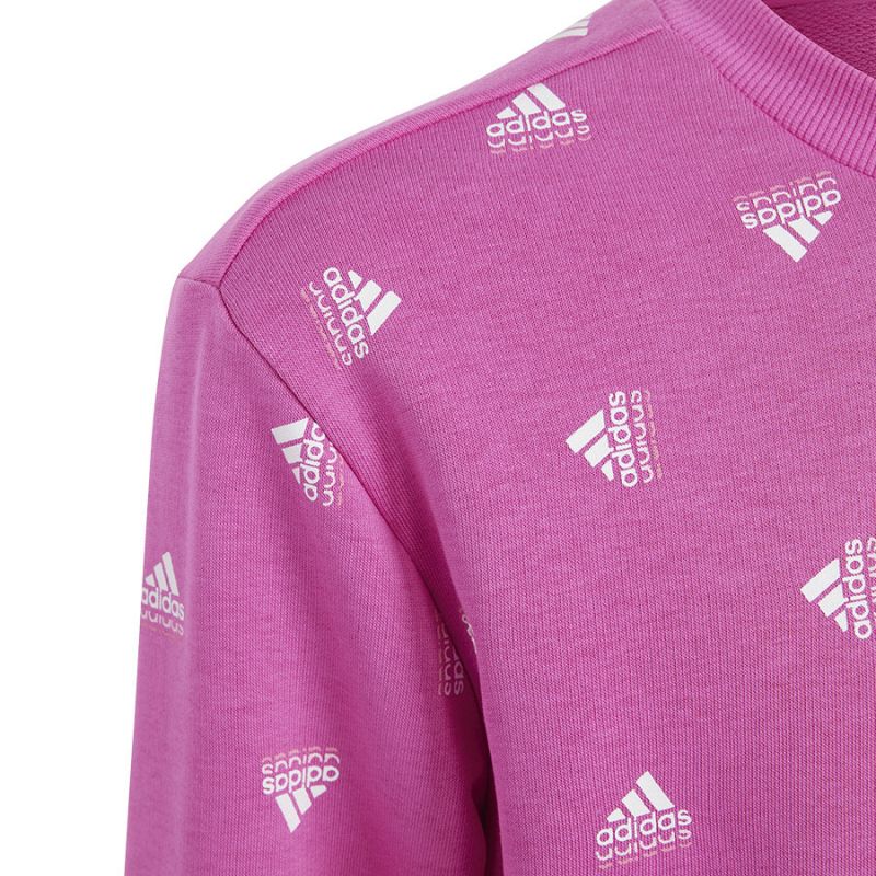 adidas Sweatshirt adidas Bluv Swt Jr IC5573 Pulóver - Sportmania.hu