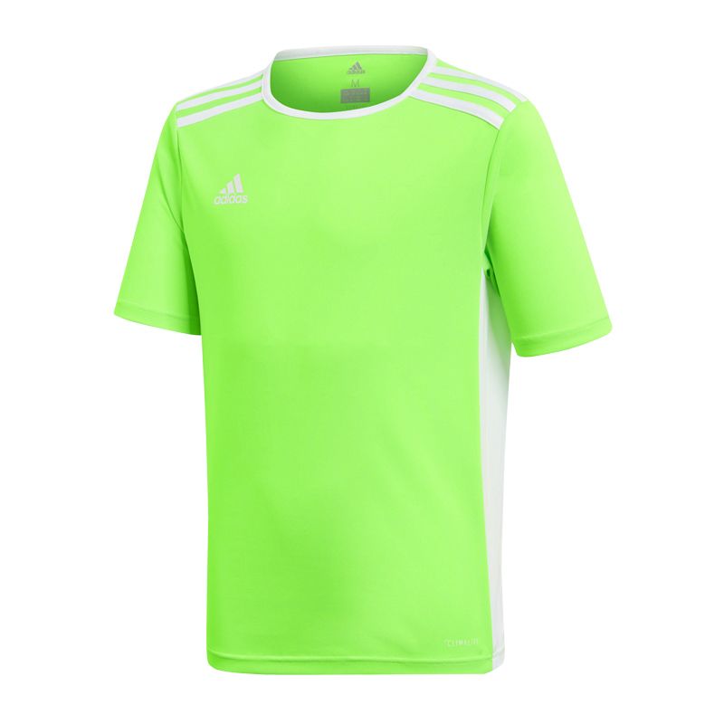 adidas T-shirt adidas Entrada 18 Jr CE9755 Póló - Sportmania.hu