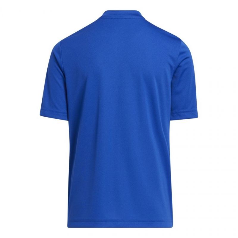 adidas T-shirt adidas Entrada 22 Graphic Jersey Jr HF0130 Póló