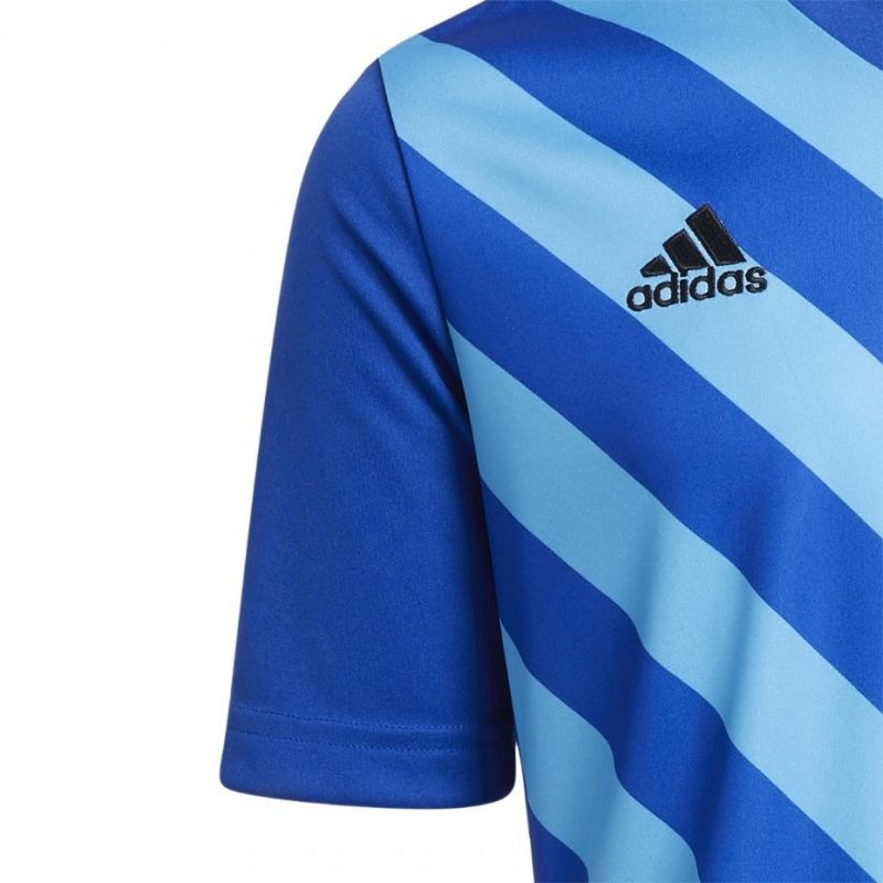 adidas T-shirt adidas Entrada 22 Graphic Jersey Jr HF0130 Póló