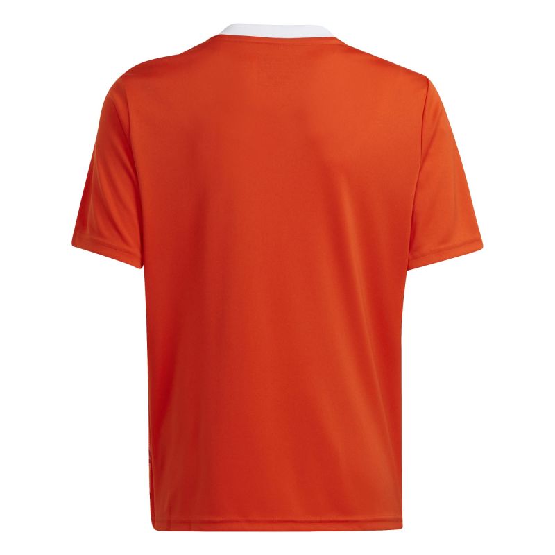 Adidas Team Icon 23 Jr T-shirt IC1254 Póló - Sportmania.hu