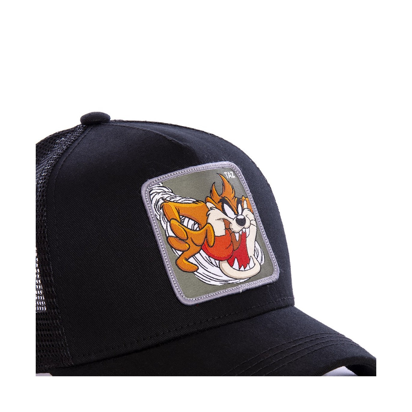 Kép alternatív szöveg