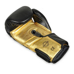 DBX Bushido 10oz - Hammer - Legacy Series arany boxkesztyű