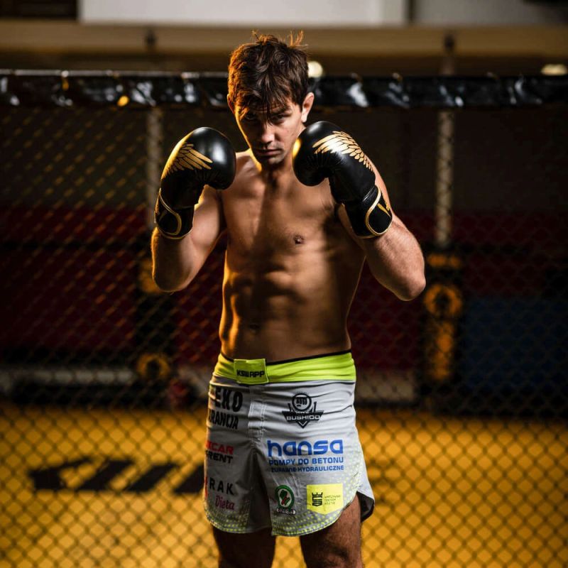 DBX Bushido 8oz - Hawk - Origin Series boxkesztyű