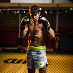 DBX Bushido 8oz - Hawk - Origin Series boxkesztyű