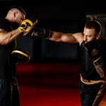 DBX Bushido Multi-layer - ProFighter - Legacy Series arany boxkesztyű