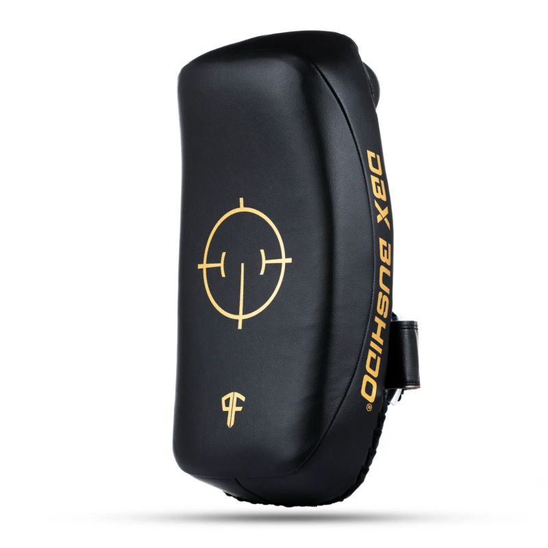 DBX Bushido PAO Thai Shields pair | ProFighter | arany