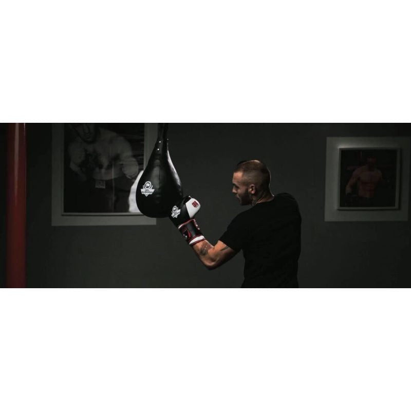 DBX Bushido TECHNICAL BOXING PEAR 5 KG SK5