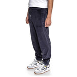 Dc Maytown Pant férfi SEDYFB03050