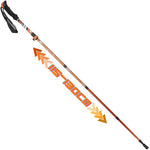Enero NORDIC WALKING TRIP POLES IN PRO CASE