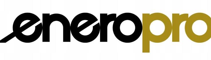 Enero Pro logo