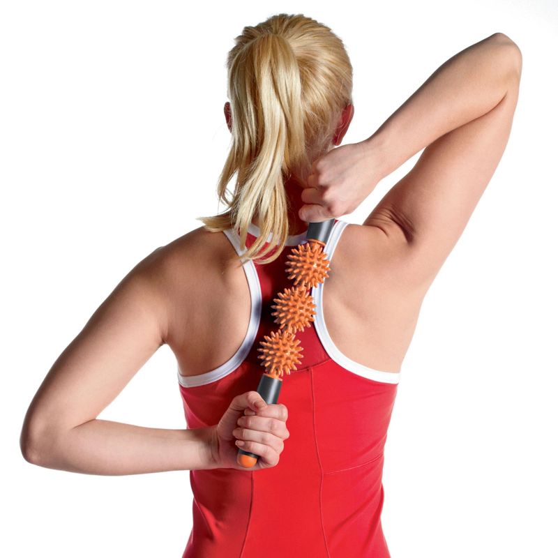 Kép alternatív szöveg