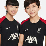 Nike Liverpool FC Strike SS Top Jr T-shirt FN9860-013 - Sportmania.hu