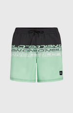 ONeill O'neill Cali Stripe 16'' Swimshorts fürdőnadrág - Sportmania.hu