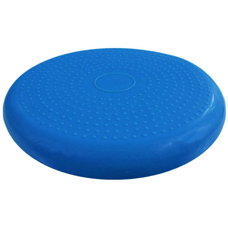 PROfit inflatable disc Edzőfelszerelés DK2111