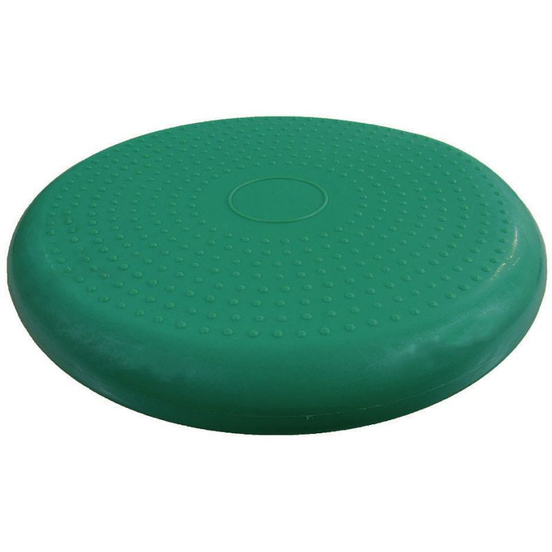 PROfit inflatable disc Edzőfelszerelés DK2111