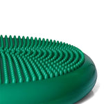 PROfit inflatable disc Edzőfelszerelés DK2111
