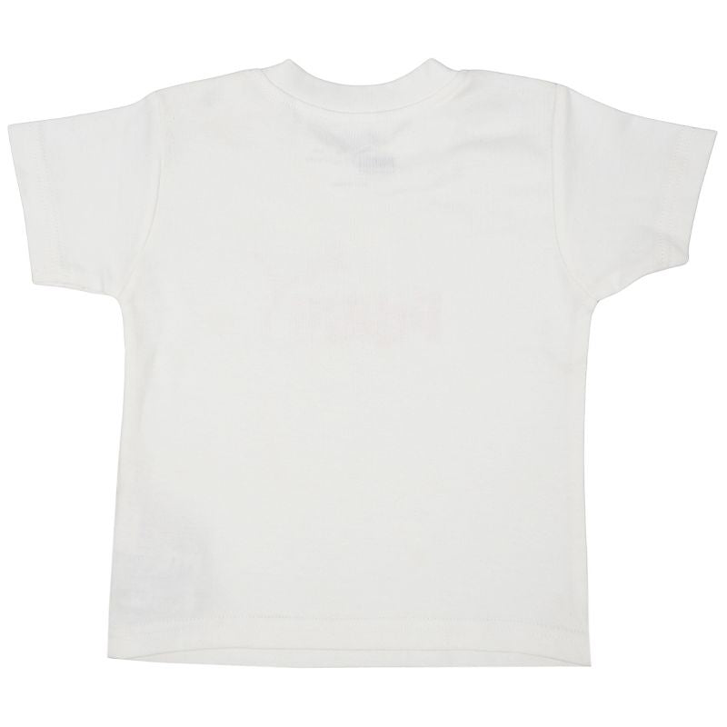 Kép alternatív szöveg