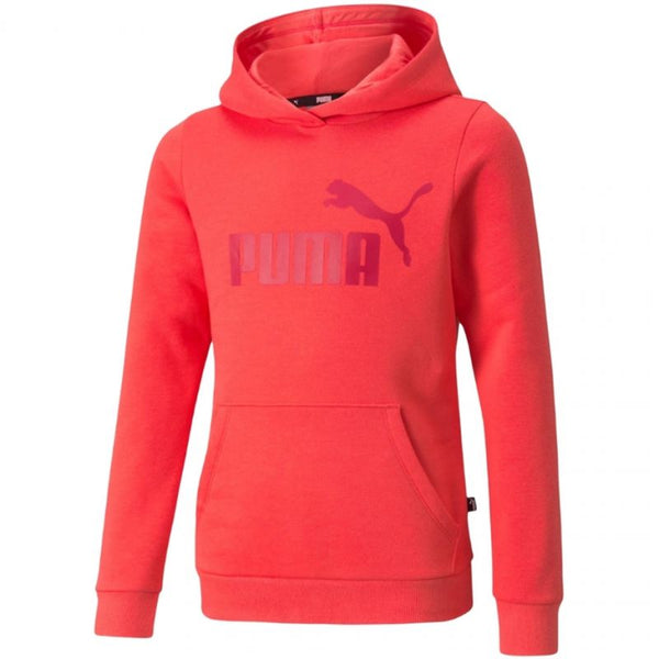 Puma ESS Logo Hoodie FL Jr 587031 35 Kapucnis pulóver - Sportmania.hu