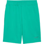 Puma ESS No.1 Logo 10" (s) 682595 zöld férfi rövidnadrág